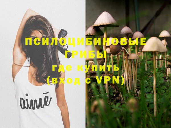 дурь Мегион