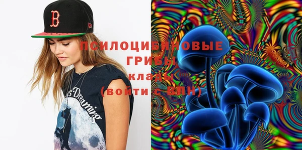 мдпв Новодвинск
