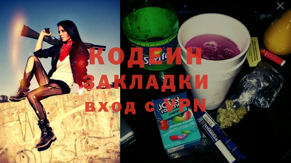 дживик Бронницы