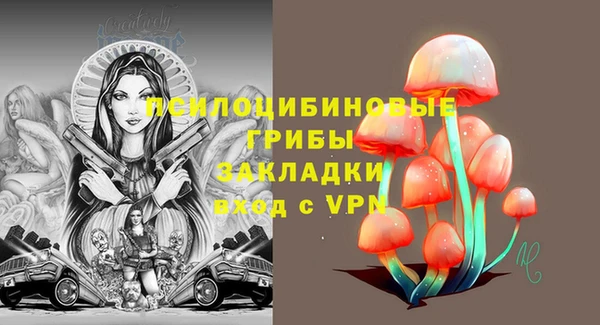 дурь Мегион