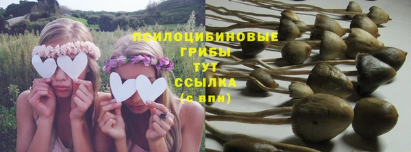 дурь Мегион