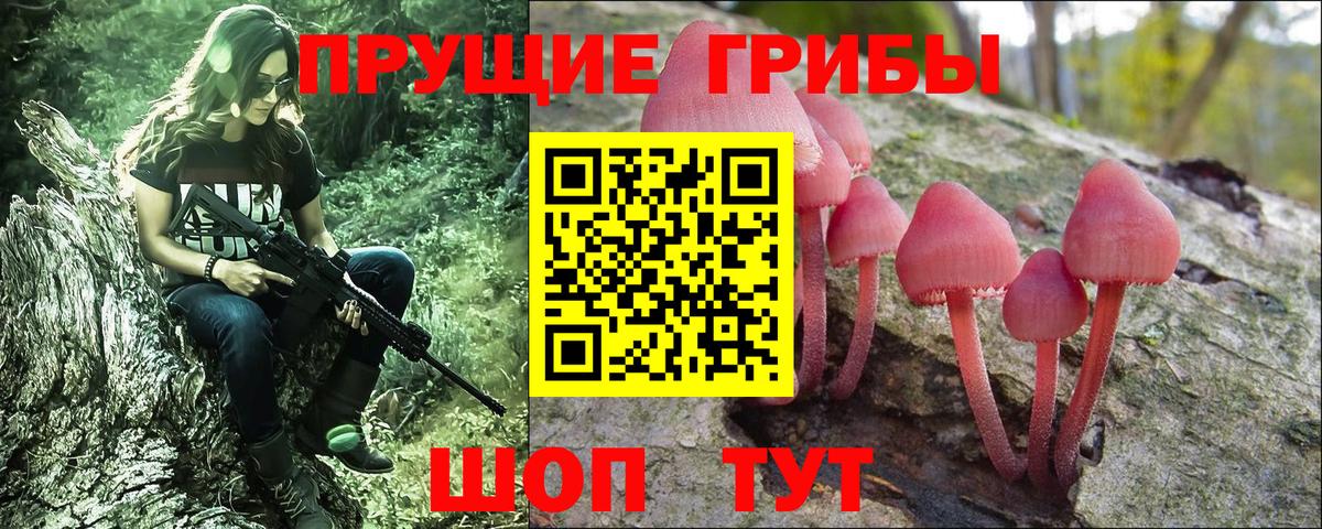 Волгоград  Галлюциногенные грибы Psilocybe  Вход с VPN 