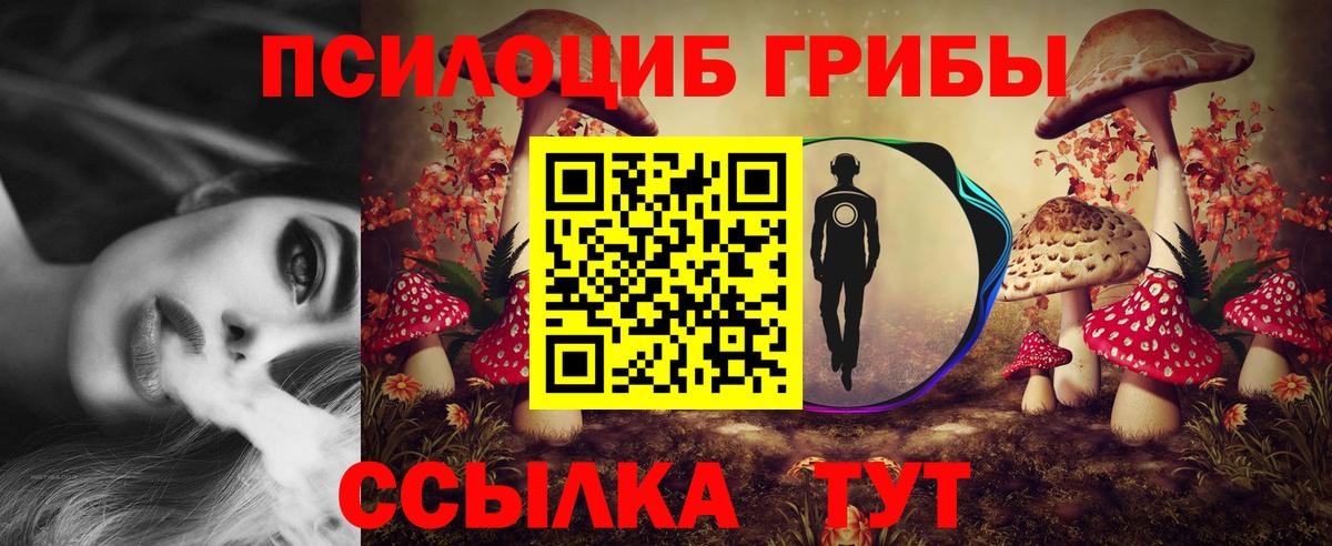 Псилоцибиновые грибы прущие грибы Волгоград