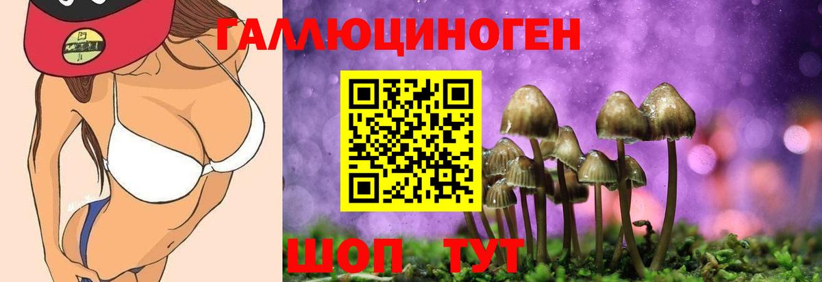 Псилоцибиновые грибы GOLDEN TEACHER  Волгоград 